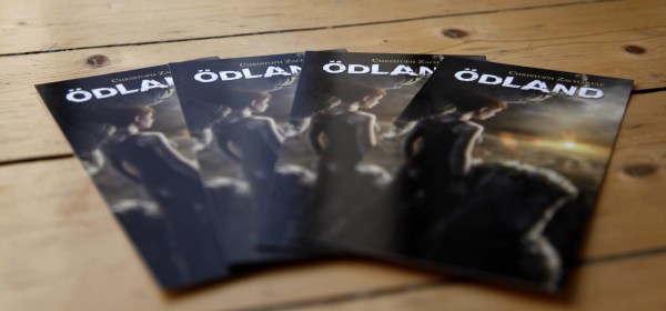 19-02-01 DIN-lang Fächer Ausschnitt KLEIN