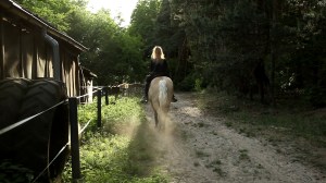 20-06-03 Vaile reitet in den Sonnenuntergang